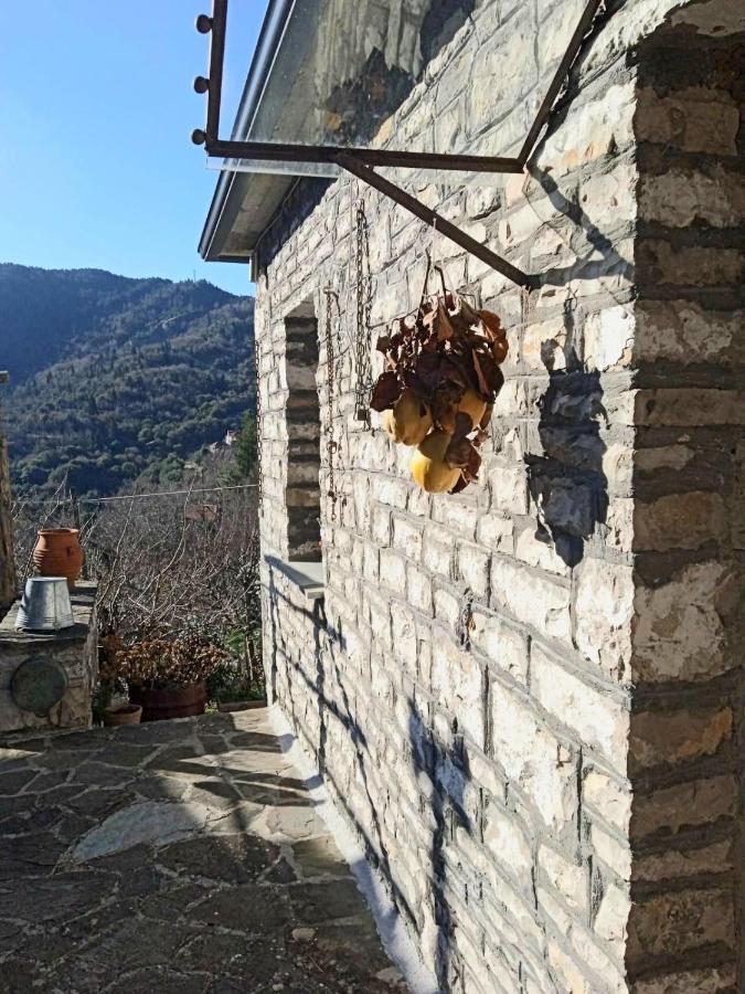 Alexadras Guesthouse Ampelochori Exterior foto